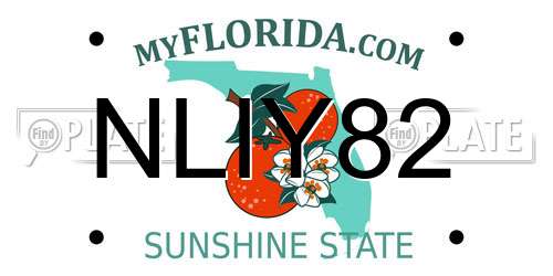 NLIY82 Florida License Plate