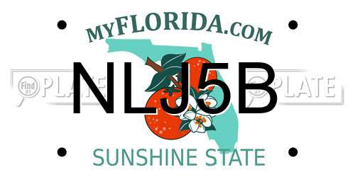 NLJ5B Florida License Plate