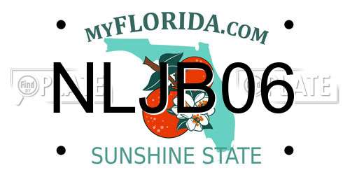 NLJB06 Florida License Plate