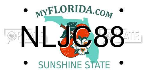 NLJC88 Florida License Plate