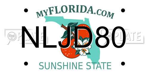 NLJD80 Florida License Plate