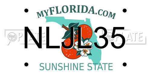 NLJL35 Florida License Plate