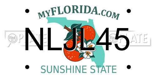NLJL45 Florida License Plate