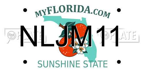 NLJM11 Florida License Plate