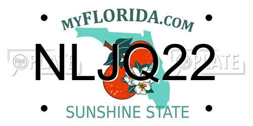 NLJQ22 Florida License Plate
