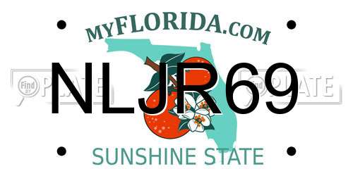 NLJR69 Florida License Plate