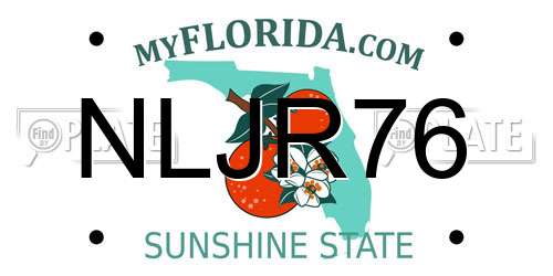 NLJR76 Florida License Plate
