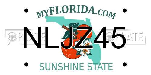 NLJZ45 Florida License Plate