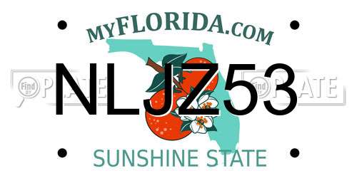 NLJZ53 Florida License Plate