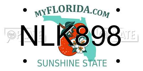 NLK898 Florida License Plate
