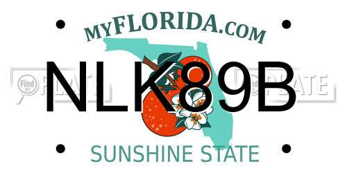 NLK89B Florida License Plate