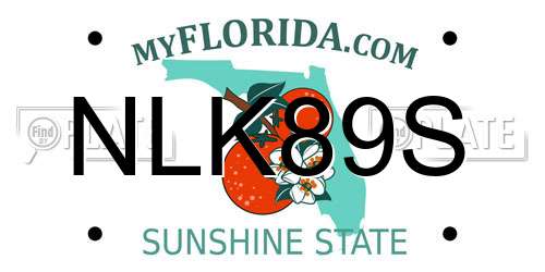 NLK89S Florida License Plate