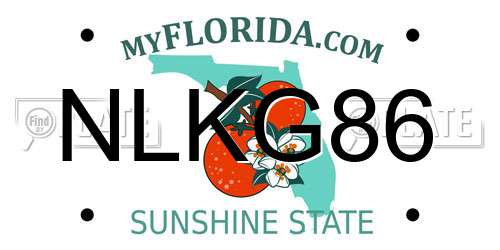 NLKG86 Florida License Plate