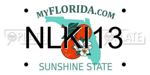 NLKI13 Florida License Plate