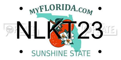 NLKT23 Florida License Plate