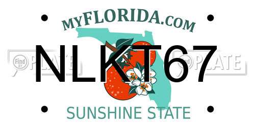 NLKT67 Florida License Plate