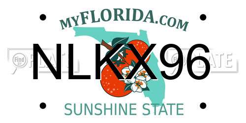 NLKX96 Florida License Plate