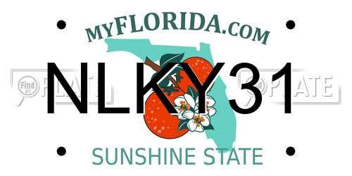 NLKY31 Florida License Plate