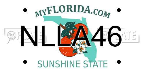 NLLA46 Florida License Plate