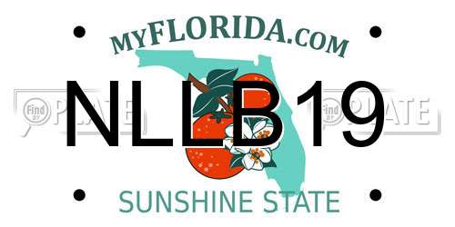 NLLB19 Florida License Plate