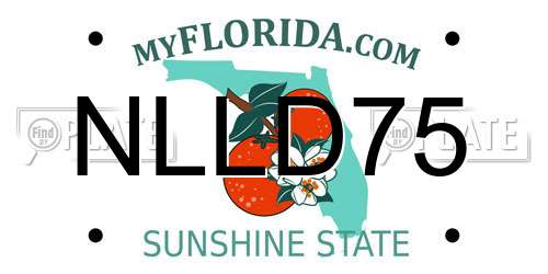NLLD75 Florida License Plate