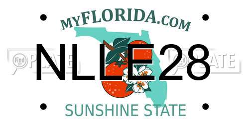 NLLE28 Florida License Plate