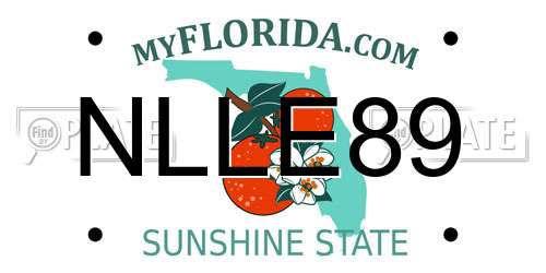 NLLE89 Florida License Plate