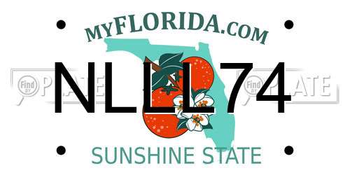 NLLL74 Florida License Plate
