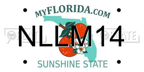 NLLM14 Florida License Plate