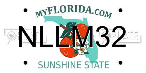 NLLM32 Florida License Plate