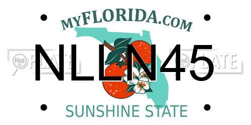 NLLN45 Florida License Plate