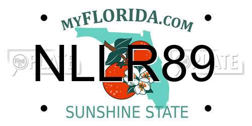 NLLR89 Florida License Plate
