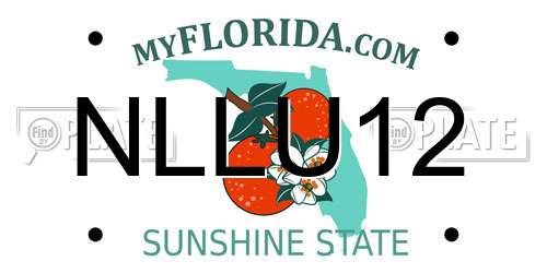 NLLU12 Florida License Plate