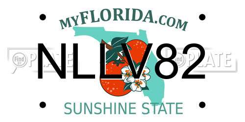 NLLV82 Florida License Plate