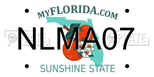 NLMA07 Florida License Plate