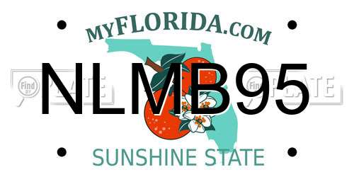 NLMB95 Florida License Plate