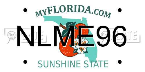 NLME96 Florida License Plate