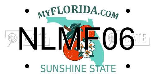 NLMF06 Florida License Plate