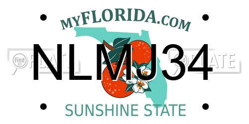 NLMJ34 Florida License Plate