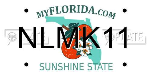 NLMK11 Florida License Plate