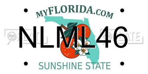 NLML46 Florida License Plate