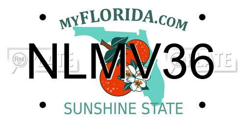 NLMV36 Florida License Plate