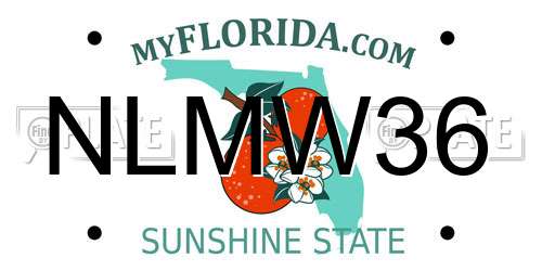 NLMW36 Florida License Plate