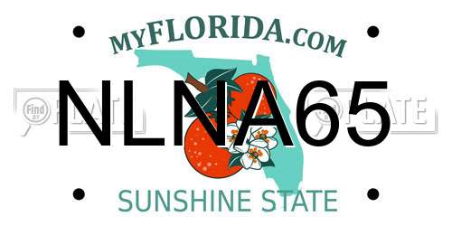 NLNA65 Florida License Plate