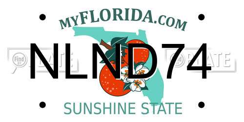 NLND74 Florida License Plate