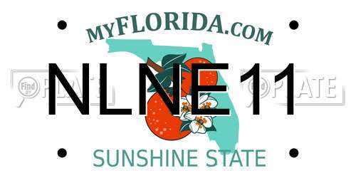NLNE11 Florida License Plate