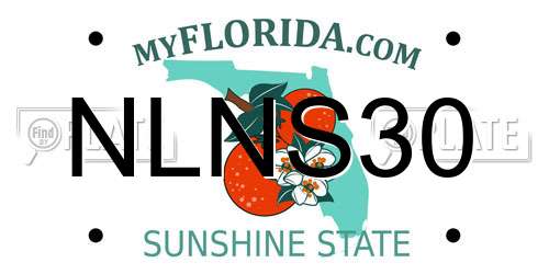 NLNS30 Florida License Plate