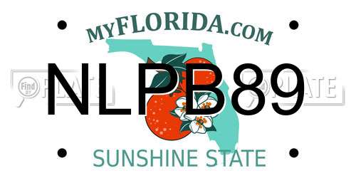 NLPB89 Florida License Plate