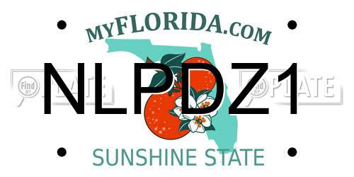 NLPDZ1 Florida License Plate