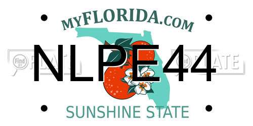 NLPE44 Florida License Plate